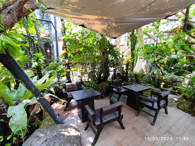 My forest cafe & Coffee Roasters