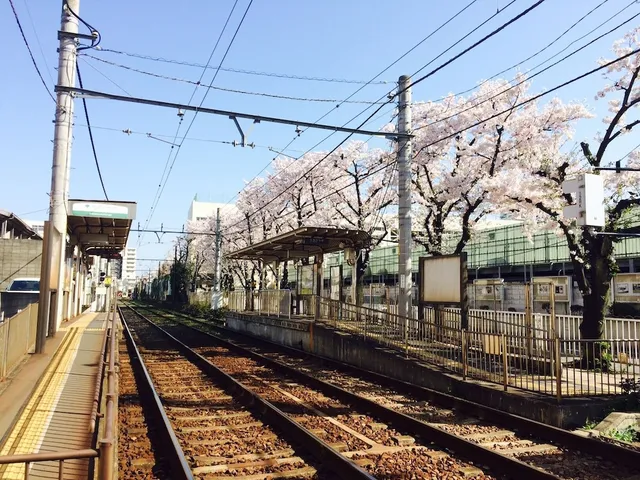Sato-san's Rest Guesthouse&Hostel