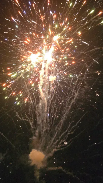 Toledo Wildlife Works of Art