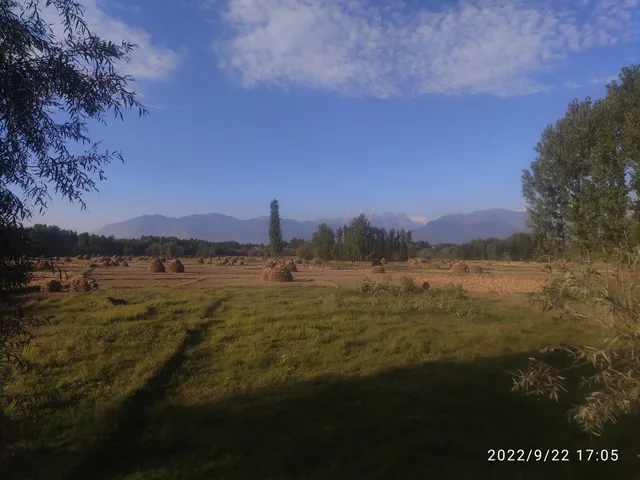 Hokersar wetland zainakote HMT