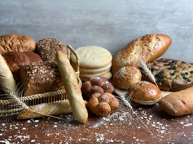 The Coco Company - Bakery in Gurgaon