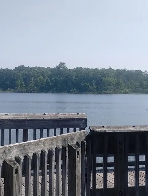 Brighton Appleton Lake Rustic Campground