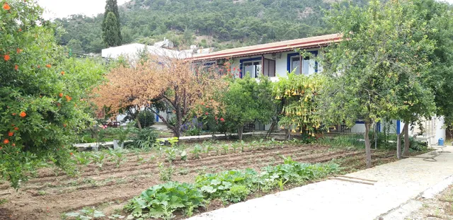 Ege Pansiyon & Restorant