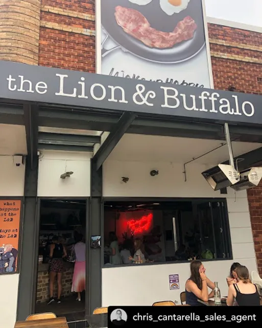 The Lion and Buffalo