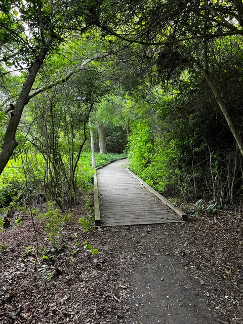 Pine Brook South Wetlands