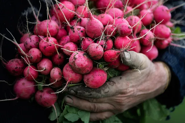 Untamed Earth Organic Farm Shop