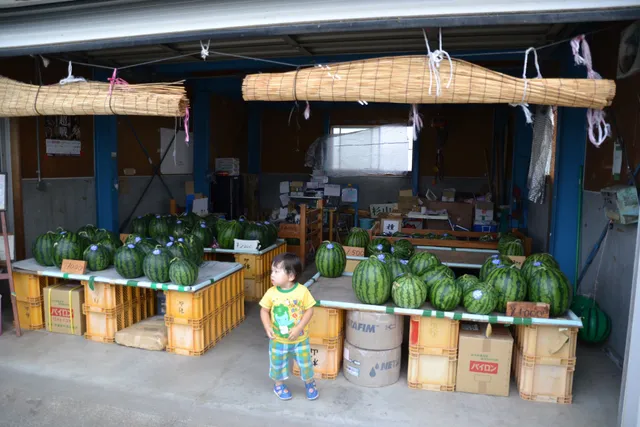 スイカ 直売所 南原ファーム