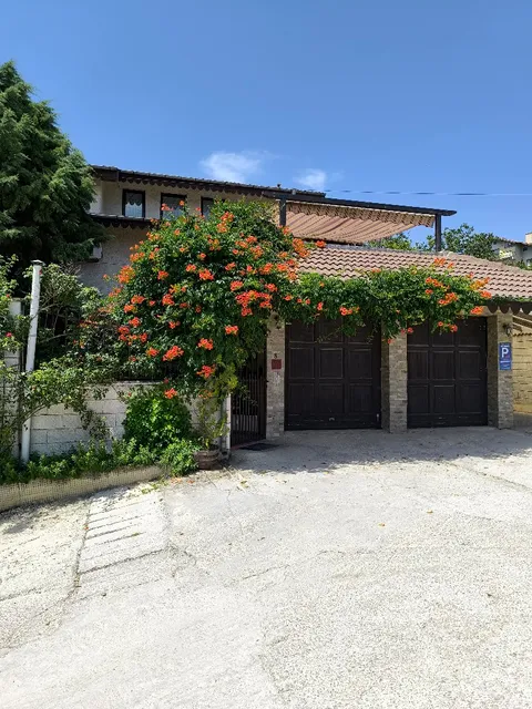 Guesthouse Delfini Varna