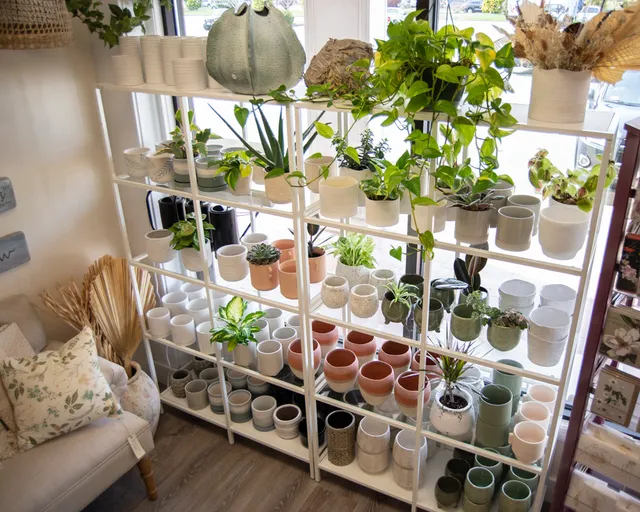 Botanique of Cape Cod