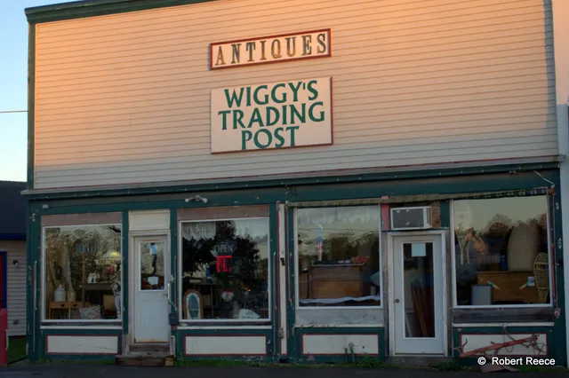 Wiggy's Trading Post