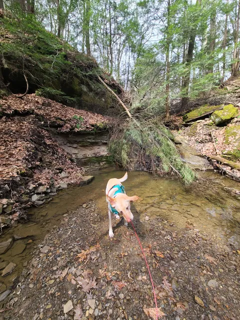 Cleveland Metroparks