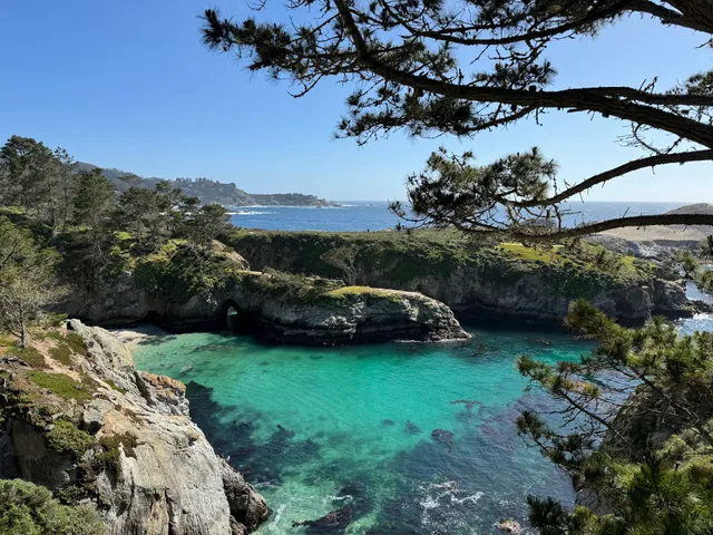 Point Lobos