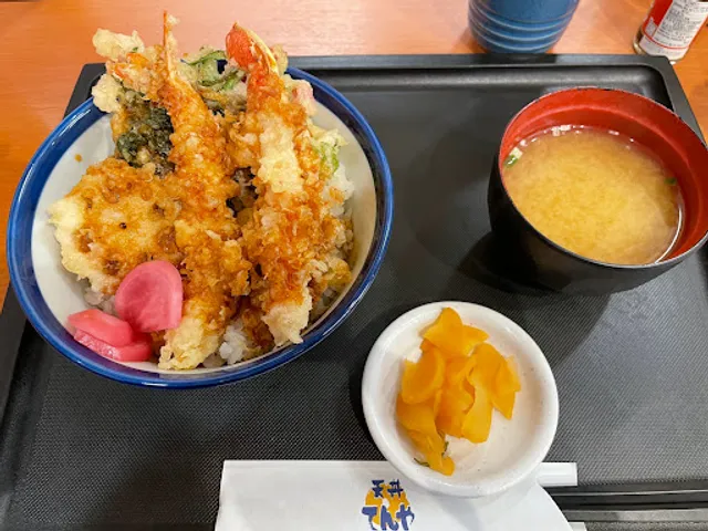 Tendon Tenya