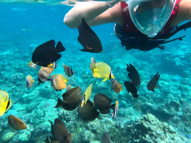 Jemeluk Bay snorkelling spot