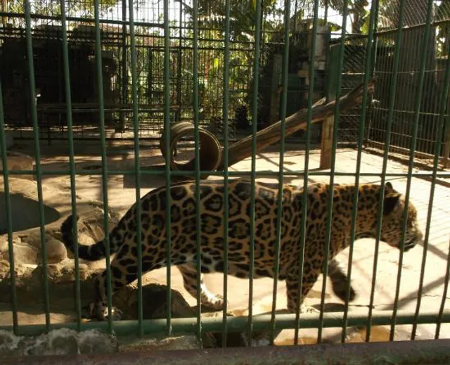 Parque Zoológico Nacional