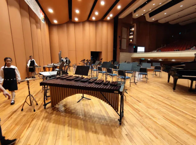 NTSO (National Taiwan Symphony Orchestra)