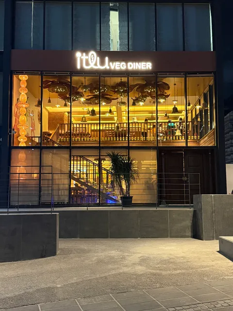 ITLU - A Veg Diner, Financial dt