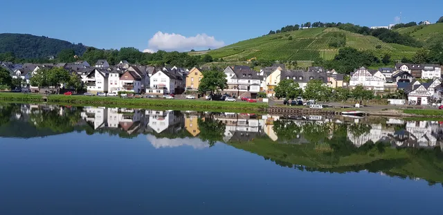 Mosel View