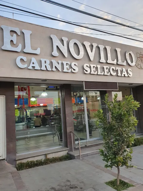 El Novillo in Zacatecas, Mexico - reviews,open hours,photo spots ...