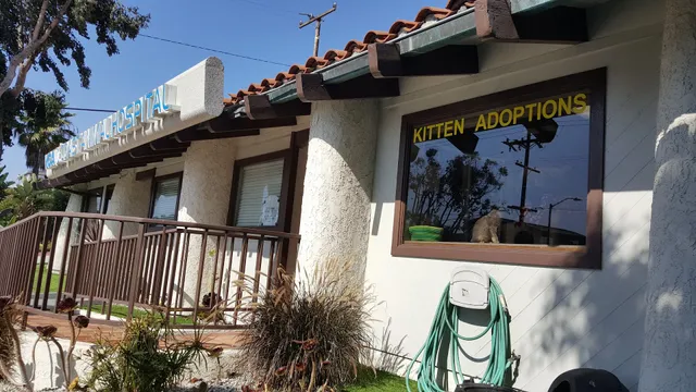 Peter Zippi Memorial Fund Inc