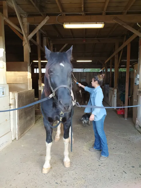 The Presidio Riding Club