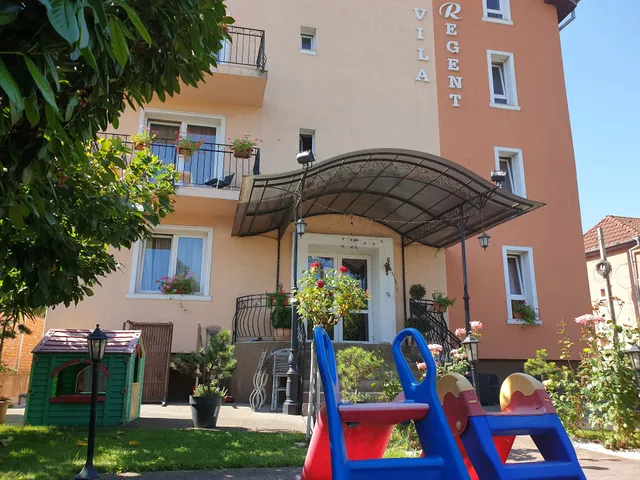 Pension Vila Regent 100 ron