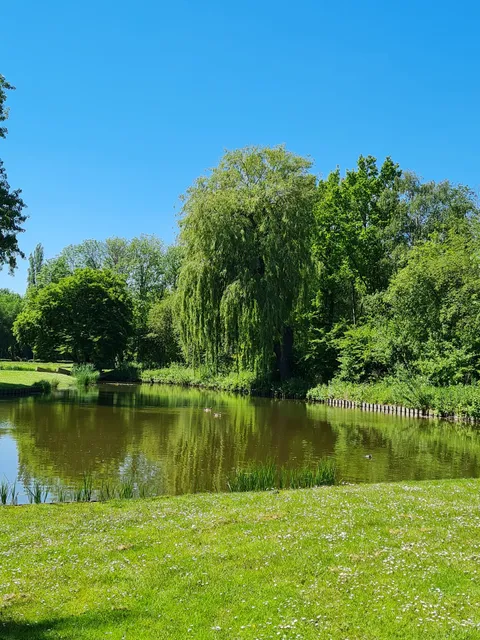 Speeltuin Wilgenplaspark