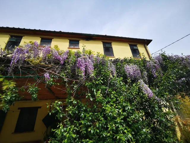 Locanda San Ginese - Room, Bed & Breakfast