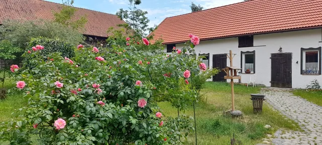 Gospodarstwo Agroturystyczne "Ostoja Kamionki" siedlisko na Mazurach