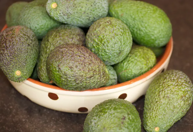 Finca María de la Luz