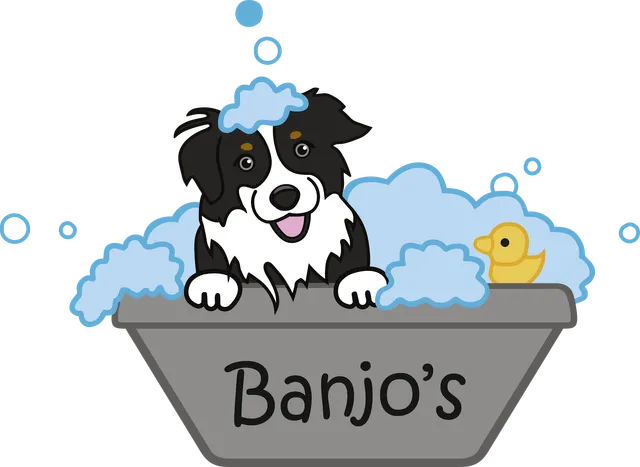 Banjo's Self Dog Wash