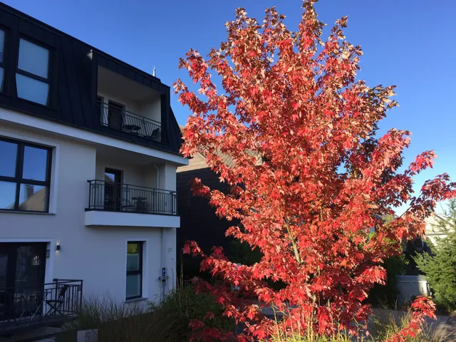 Ferienquartier Winterberg