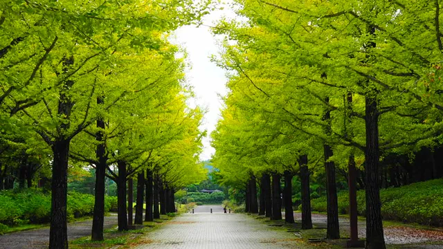 Fukushimaken Azuma Sports Park