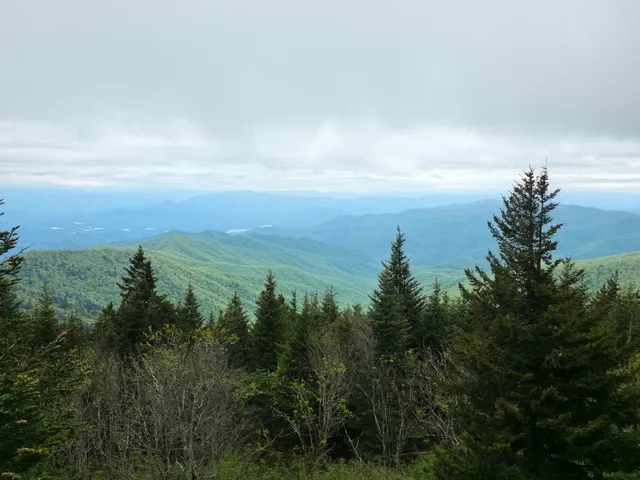 Clingman’s Dome Trailhead Parking
