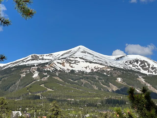 Carter Park Sledding Hill