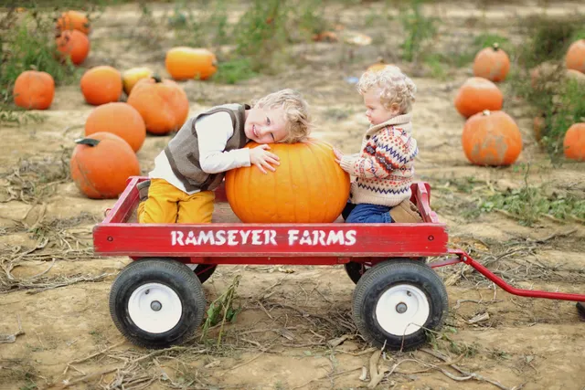 Ramseyer Farms