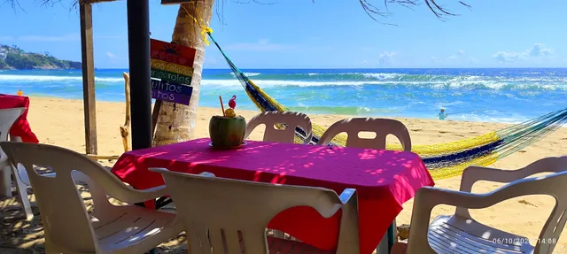 Hotel y Restaurant Bar Rocio