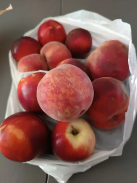 Craponne Farmers Market