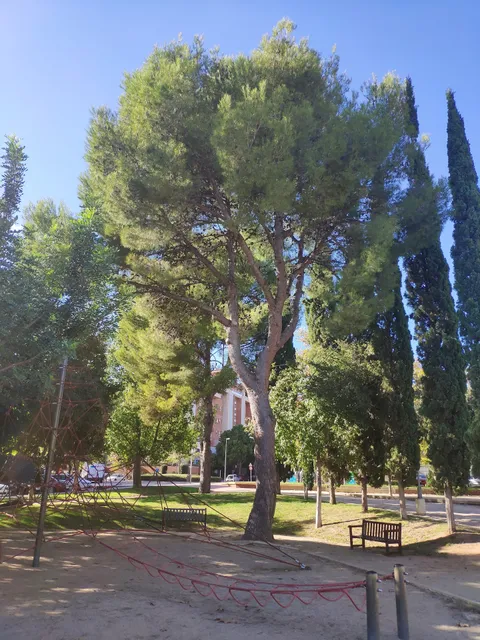 Parc de la Muntanyeta