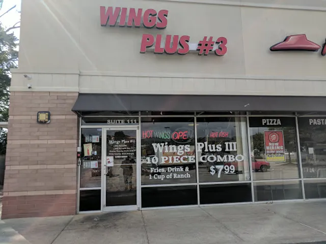 Wings Plus #3