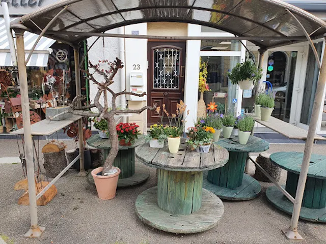 Restaurant Demi-Lune