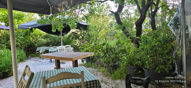 Sisli ΠΟΛΙΤΙΚΕΣ ΓΕΥΣΕΙΣ