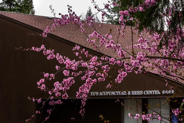 Yu's Acupuncture & Herb Center