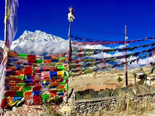 Alpine Ramble Treks Pvt. Ltd.