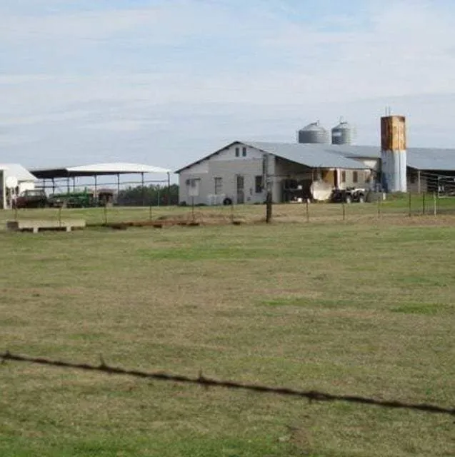Stoll Family Dairy