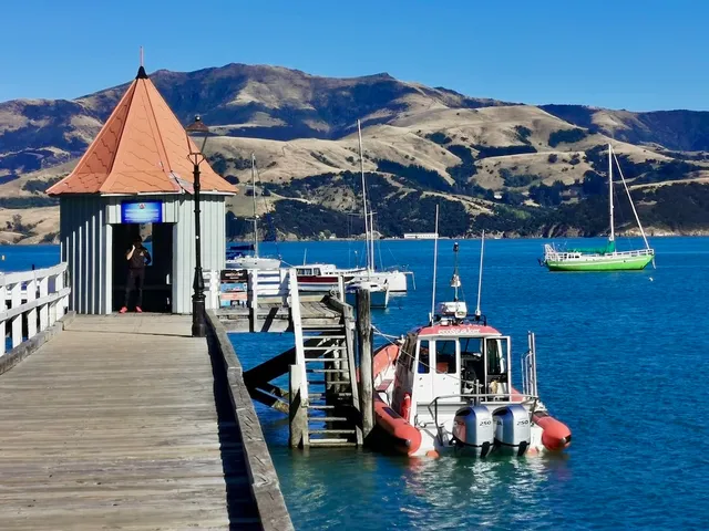 Ecoseaker - Dolphin Swimming & Harbour Adventure Cruises