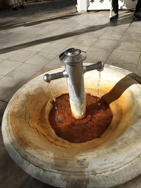 Spring №12 Park Spring