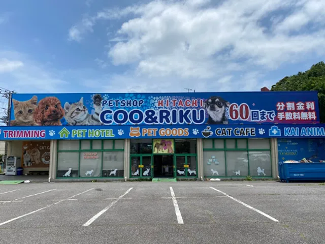 coorikuya
