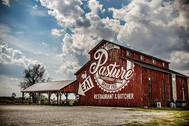 Pasture at Marksbury Farm