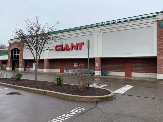 Chinese food (Hong kong chef v)